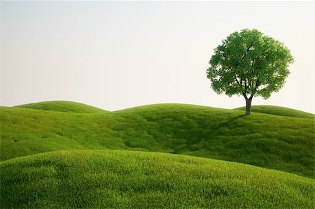 rolling fields - 3d rendering of a green field with an elm tree Stock Photo - Budget Royalty-Free & Subscription, Code: 400-04092021