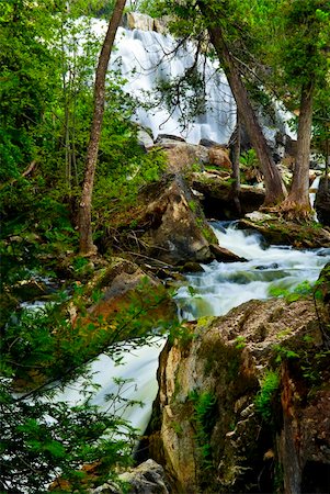 simsearch:400-04452321,k - River rushing by trees after waterfall in Ontario Canada Foto de stock - Royalty-Free Super Valor e Assinatura, Número: 400-04093732