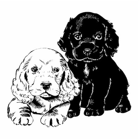 etch - Vintage 1950s etched-style cute puppies.  Detailed black and white from authentic hand-drawn scratchboard Stock Photo - Budget Royalty-Free & Subscription, Code: 400-04105992