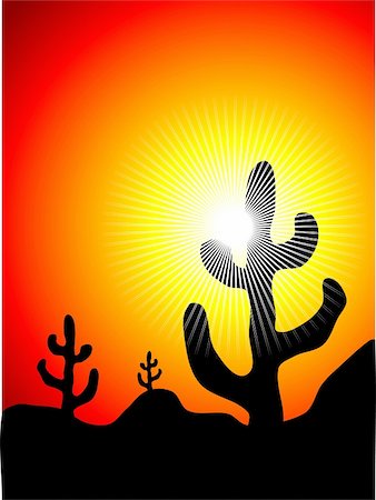 desert sunset landscape cactus - Mexican cactus landscape at sunset Stock Photo - Budget Royalty-Free & Subscription, Code: 400-04106512