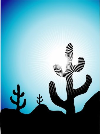 sonora - Mexican cactus landscape at sunset Stockbilder - Microstock & Abonnement, Bildnummer: 400-04106513