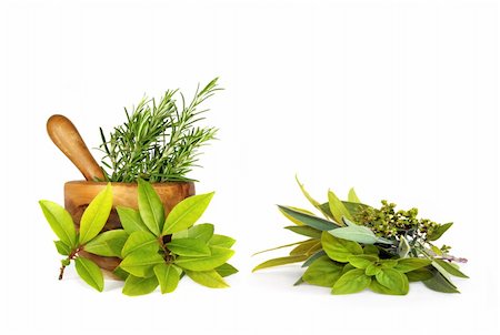 simsearch:400-06521200,k - Herb leaf selection in an olive wood mortar with pestle, over white background. Fotografie stock - Microstock e Abbonamento, Codice: 400-04106671