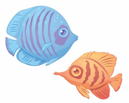poisson-ange - Vector illustration of vibrant tropical fish. Photographie de stock - Aubaine LD & Abonnement, Code: 400-04108274
