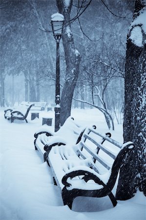 simsearch:400-03987371,k - snow covered benches in the winter park Foto de stock - Super Valor sin royalties y Suscripción, Código: 400-04108530
