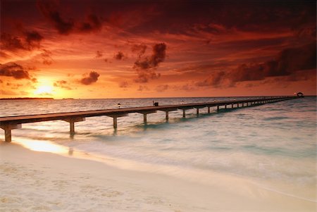 Gorgeous sunset over the sea and a jetty in the tropical paradise of Caribbean Stock Photo - Budget Royalty-Free & Subscription, Code: 400-04101365