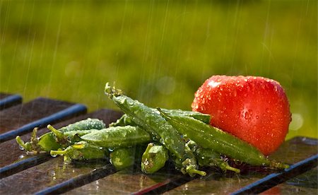 simsearch:400-03968431,k - Pile of pea pods with a tomato in the rain (2620) Foto de stock - Super Valor sin royalties y Suscripción, Código: 400-04102933