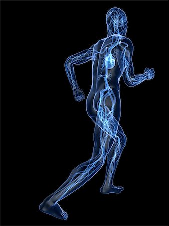 simsearch:400-04103615,k - 3d rendered illustration of a transparent running man with vascular system Stock Photo - Budget Royalty-Free & Subscription, Code: 400-04103608