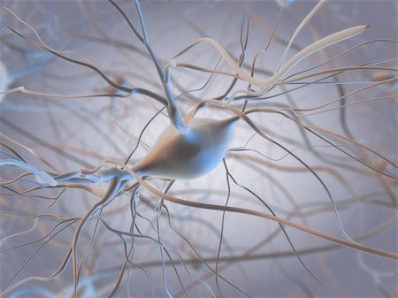 simsearch:400-03961909,k - 3d rendered illustration of some nerve cells Foto de stock - Royalty-Free Super Valor e Assinatura, Número: 400-04103601