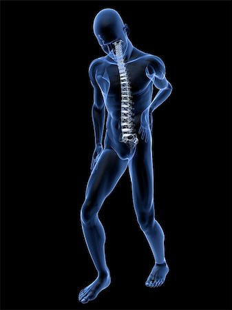 simsearch:400-04191663,k - 3d rendered illustration of a transparent male body with backache Stock Photo - Budget Royalty-Free & Subscription, Code: 400-04103625