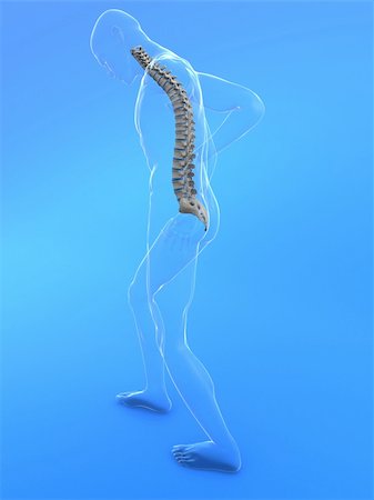 simsearch:400-04191663,k - 3d rendered illustration of a transparent male body with backache Photographie de stock - Aubaine LD & Abonnement, Code: 400-04103628