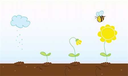 Process of growing plant in four stages. Vector Illustration. Foto de stock - Super Valor sin royalties y Suscripción, Código: 400-04115303