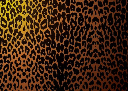 Abstract leopard skin or hide background with camouflage texture Stock Photo - Budget Royalty-Free & Subscription, Code: 400-04115367