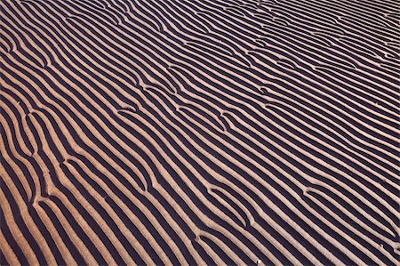 sand ripples on beach creating linear pattern Foto de stock - Royalty-Free Super Valor e Assinatura, Número: 400-04115373