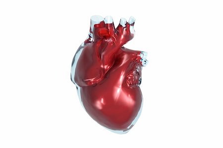 physical education - Color 3D front view of the human heart. Photographie de stock - Aubaine LD & Abonnement, Code: 400-04116081