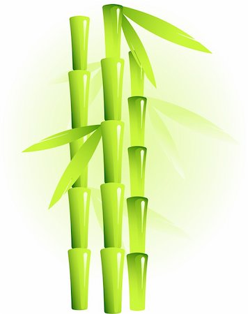 simsearch:400-07035863,k - Vector image of bamboo Stockbilder - Microstock & Abonnement, Bildnummer: 400-04116106