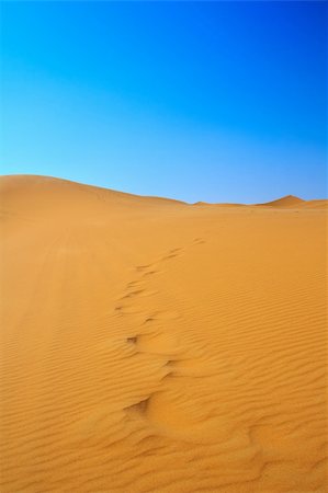 simsearch:400-04173967,k - blissful view of sand dunes and cloudless sky, Erg Chebbi, Morocco Fotografie stock - Microstock e Abbonamento, Codice: 400-04118022