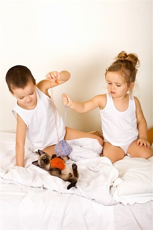 Kids playing with their kitten and yarn balls on the bed Stock Photo - Budget Royalty-Free & Subscription, Code: 400-04110347