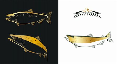 simsearch:400-08754703,k - Three stylized sketches of a salmon made with gold and dark green colors on white and black background. Contour of a fish and a fill can be easily separated from a background. Stockbilder - Microstock & Abonnement, Bildnummer: 400-04111899