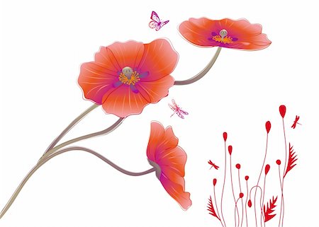 simsearch:400-04830667,k - Poppy flowers with butterflies, vector Photographie de stock - Aubaine LD & Abonnement, Code: 400-04112544