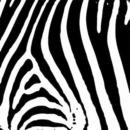 illustrated abstract Zebra black and white print background Stock Photo - Budget Royalty-Free & Subscription, Code: 400-04113173