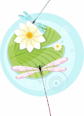 simsearch:400-05385029,k - vector illustration of a beautiful dragonfly Foto de stock - Super Valor sin royalties y Suscripción, Código: 400-04113808