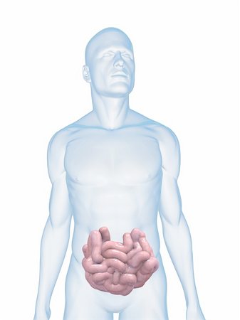 simsearch:400-06770547,k - 3d rendered illustration of a transparent male body with small intestines Stock Photo - Budget Royalty-Free & Subscription, Code: 400-04125555