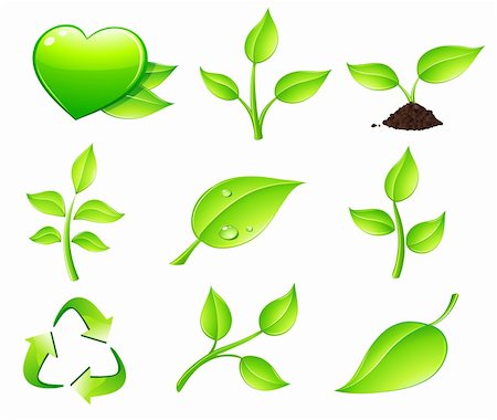 simsearch:400-09121794,k - Vector illustration of green ecology nature floral icon set Stock Photo - Budget Royalty-Free & Subscription, Code: 400-04126159