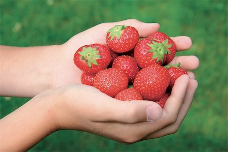 Hands holding strawberries Stock Photo - Budget Royalty-Free & Subscription, Code: 400-04126512