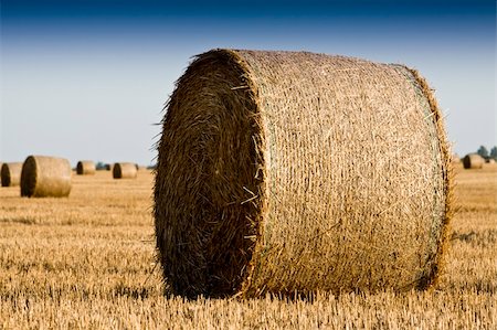 simsearch:400-04232058,k - Golden Hay Bales Stock Photo - Budget Royalty-Free & Subscription, Code: 400-04126811