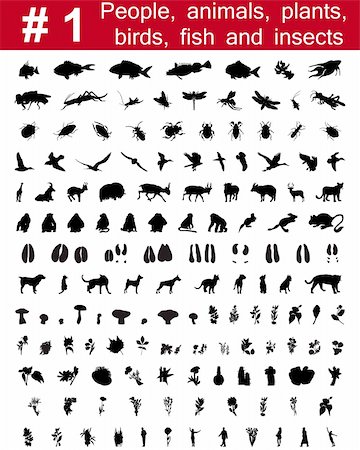 simsearch:400-04127031,k - 1. # Big collection de collage vector silhouettes de personnes, les animaux, les oiseaux, les poissons, les fleurs et les insectes de jeu Photographie de stock - Aubaine LD & Abonnement, Code: 400-04127025