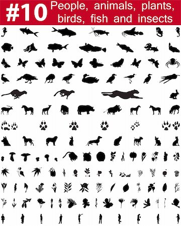 simsearch:400-04127031,k - Set # 10. Grande collection de collage vector silhouettes des personnes, des animaux, des oiseaux, des poissons, des fleurs et des insectes Photographie de stock - Aubaine LD & Abonnement, Code: 400-04127026