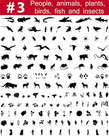 simsearch:400-04205862,k - Set # 3. Grande collection de collage vector silhouettes des personnes, des animaux, des oiseaux, des poissons, des fleurs et des insectes Photographie de stock - Aubaine LD & Abonnement, Code: 400-04127028