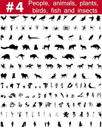 simsearch:400-04127031,k - Set # 4. Grande collection de collage vector silhouettes des personnes, des animaux, des oiseaux, des poissons, des fleurs et des insectes Photographie de stock - Aubaine LD & Abonnement, Code: 400-04127029