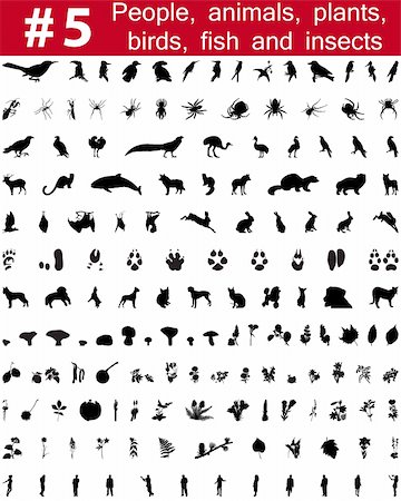 simsearch:400-04205862,k - Set # 5. Grande collection de collage vector silhouettes des personnes, des animaux, des oiseaux, des poissons, des fleurs et des insectes Photographie de stock - Aubaine LD & Abonnement, Code: 400-04127030