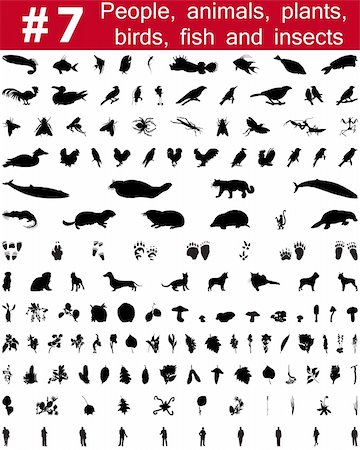 simsearch:400-04205862,k - Set # 7. Grande collection de collage vector silhouettes des personnes, des animaux, des oiseaux, des poissons, des fleurs et des insectes Photographie de stock - Aubaine LD & Abonnement, Code: 400-04127032