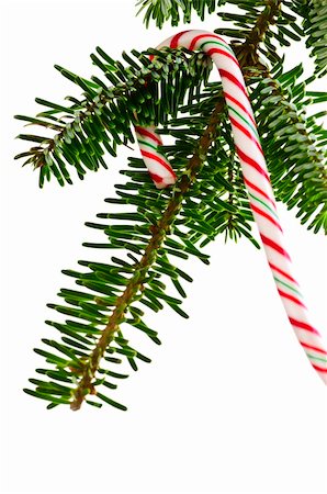 Closeup of striped candy cane hung on christmas tree isolated on white Stock Photo - Budget Royalty-Free & Subscription, Code: 400-04128435