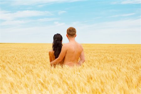 Couple standing in a wheat field looking far away Stock Photo - Budget Royalty-Free & Subscription, Code: 400-04121036