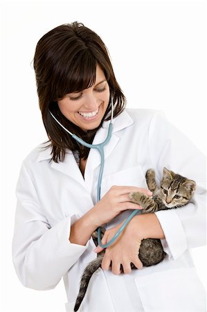 Beautiful Caucasian woman Veterinarian examining a kitten Stock Photo - Budget Royalty-Free & Subscription, Code: 400-04121356