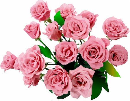 simsearch:689-03124881,k - Bunch of roses. Vector illustration Stock Photo - Budget Royalty-Free & Subscription, Code: 400-04123926