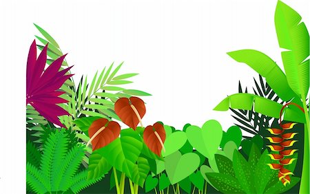 beautiful colorful tropical forest Stock Photo - Budget Royalty-Free & Subscription, Code: 400-04135136