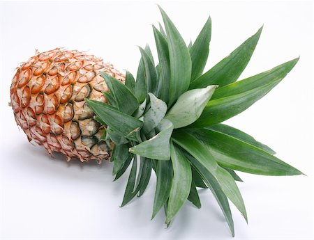 simsearch:400-04864980,k - Ananas ; objets sur fond blanc Photographie de stock - Aubaine LD & Abonnement, Code: 400-04135216