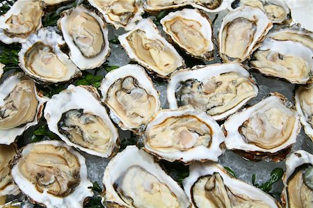 raw oyster - Oyster Stock Photo - Budget Royalty-Free & Subscription, Code: 400-04135372