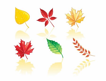 simsearch:400-05277296,k - Autumn leafs, vector Stock Photo - Budget Royalty-Free & Subscription, Code: 400-04135688