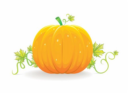 simsearch:400-04008520,k - Halloween pumpkin, vector Stock Photo - Budget Royalty-Free & Subscription, Code: 400-04135694