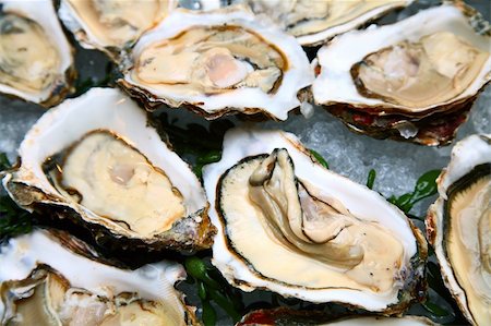 raw oyster - oyster Stock Photo - Budget Royalty-Free & Subscription, Code: 400-04136547