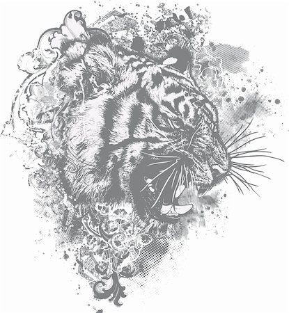 snarling tiger picture - Great for backgrounds, illustrations and apparel designs! Stock Photo - Budget Royalty-Free & Subscription, Code: 400-04136768