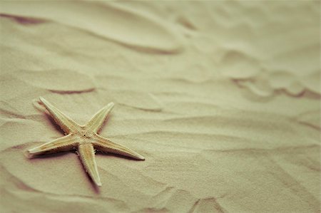 simsearch:400-04638537,k - Photo d'une petite étoile de mer sur une plage de sable Photographie de stock - Aubaine LD & Abonnement, Code: 400-04136872