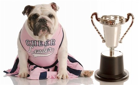 simsearch:400-04575931,k - Bulldog habillés comme des pom-pom girl, assis à côté de grande trophée Photographie de stock - Aubaine LD & Abonnement, Code: 400-04138386