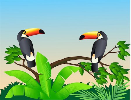 simsearch:400-04138519,k - Two toucan bird in the forest Foto de stock - Royalty-Free Super Valor e Assinatura, Número: 400-04138519
