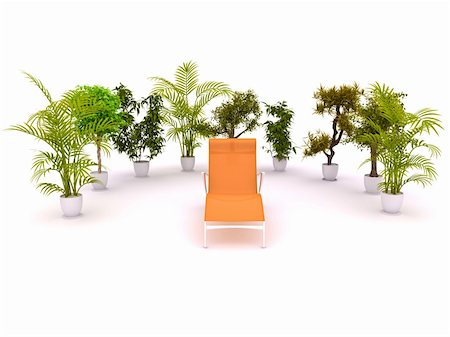 palm tree and office - Plants in flowerpot standing semicircle on white background Stock Photo - Budget Royalty-Free & Subscription, Code: 400-04139418